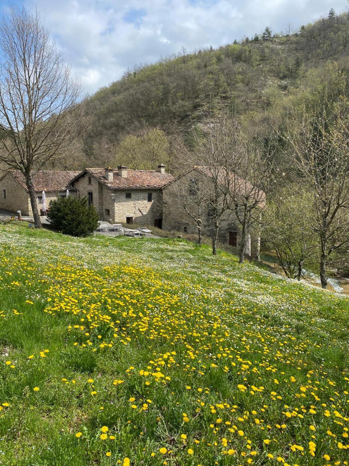 Borgo Corniola B&B Naturista Marradi Exterior foto